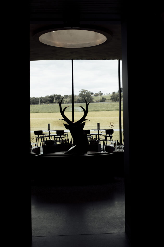 a stag protudes from the cellar door at St Hubert's estate