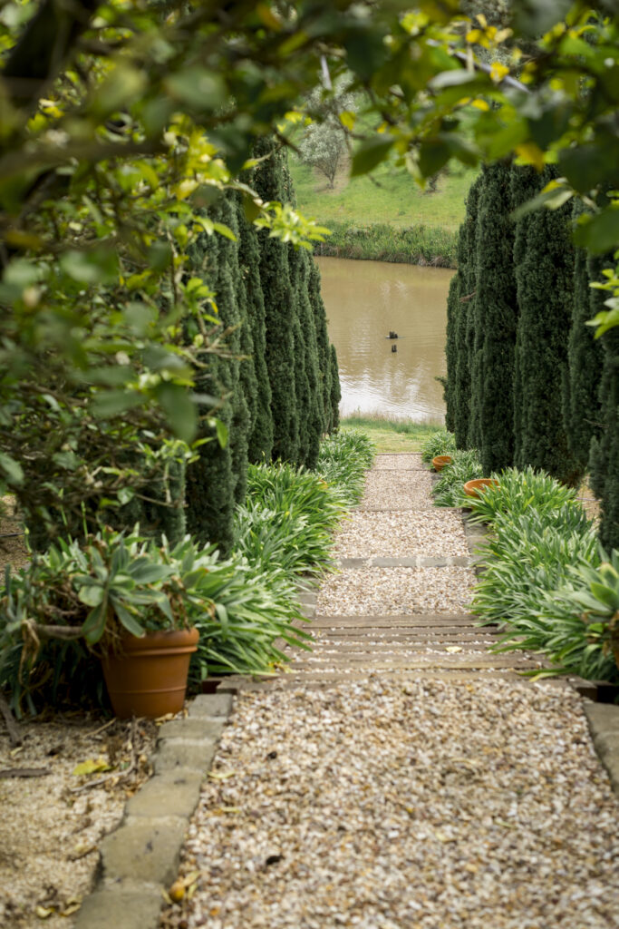 Melbourne Proposal Photography, Yarra Valley proposal. Engagement photos in Yarra Valley. Yarra Valley. Proposal in Melbourne. Cinimatic photography. Winery. pietro gallus estate