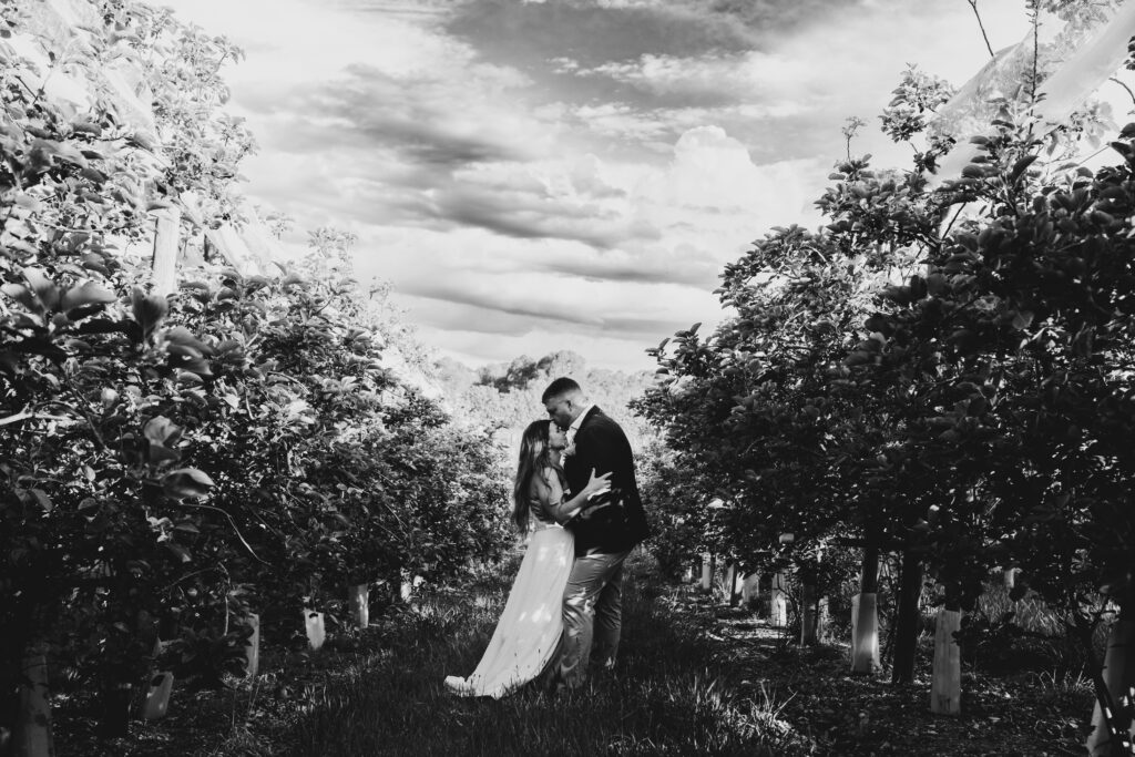 Black and white image of a couple in the orchard at DV Cider. they are surrounded by trees in blossom they are embracing one another and the groom is kissing her on the forehead. The bride hair is down and she is in a white gown
