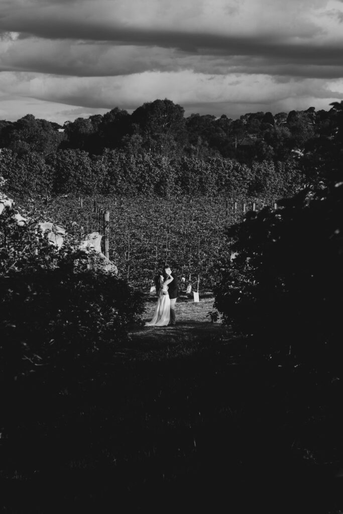 Black and white image of a couple in the orchard at DV Cider. they are surrounded by trees in blossom at golden hour they are embracing one another and the groom is kissing her on the forehead. The bride hair is down and she is in a white gown
