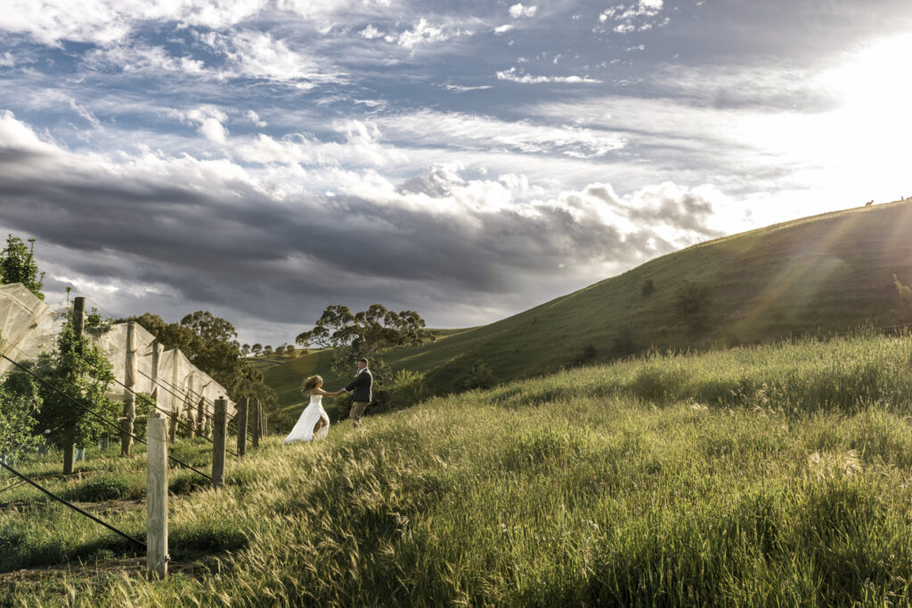 an image of a bride and groom frolicking on the hill behind DV Cider at golden hour they are embracing one another and spinning around, The bride hair is down. This is a classic documentary style moment.