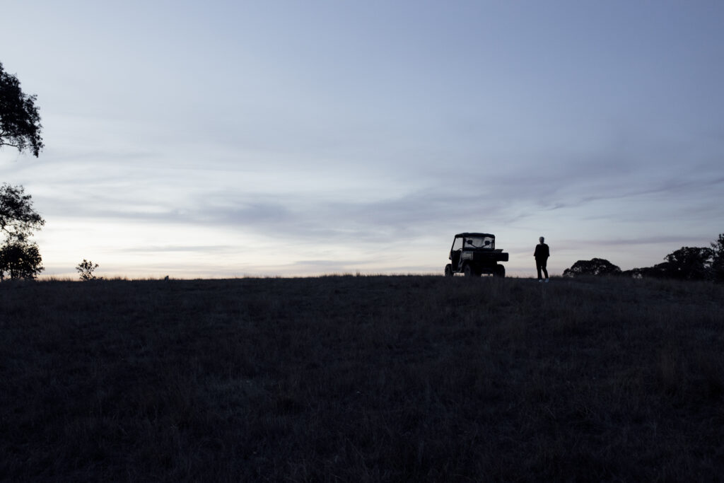 Blue hour at Paramoor winery. an landscape image of someone standing on top of the hill at Paramoor Winery, with a buggy that is used to transport couples up the hill. It is backlit and siohette photo